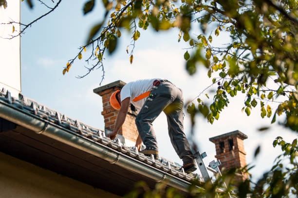 Best Storm Damage Roof Repair  in Bottineau, ND