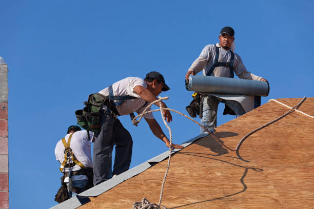 Best Residential Roofing Contractor  in Bottineau, ND