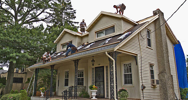 Best Commercial Roof Installation  in Bottineau, ND